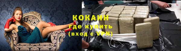 индика Аркадак