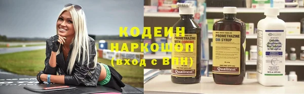 индика Аркадак