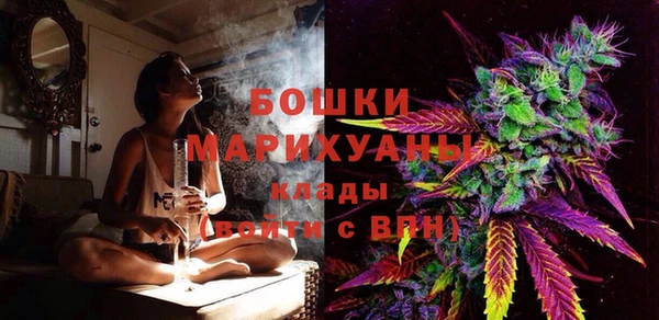 индика Аркадак