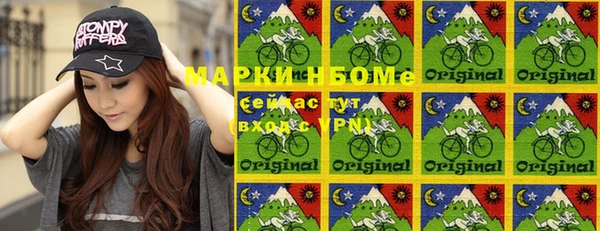 индика Аркадак