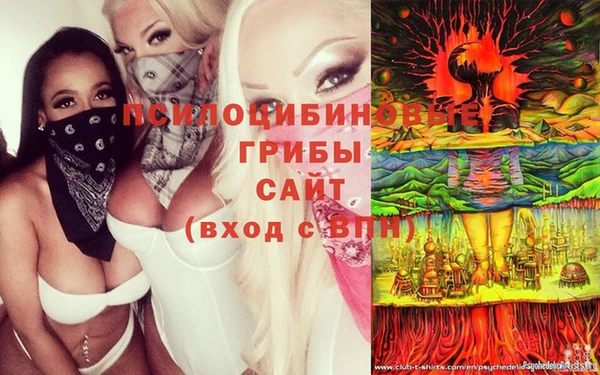 индика Аркадак