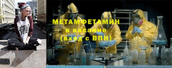 индика Аркадак