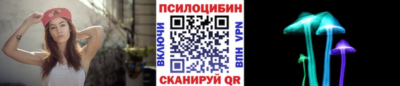 закладка  Ялуторовск  Галлюциногенные грибы Psilocybe 